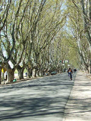 http://www.zenkoviajes.com.ar/esp/centro/cordoba/avenida.jpg